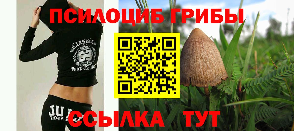 где купить наркоту  Вход с VPN  Ставрополь  Псилоцибиновые грибы мухоморы 